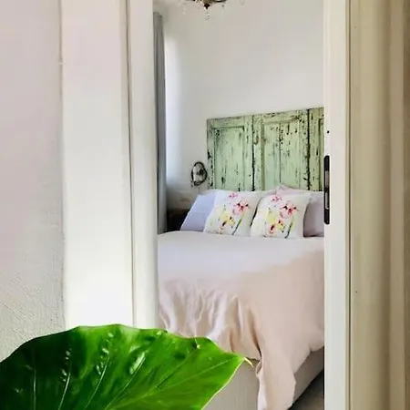 Ospite Al N 5 * Mondovi