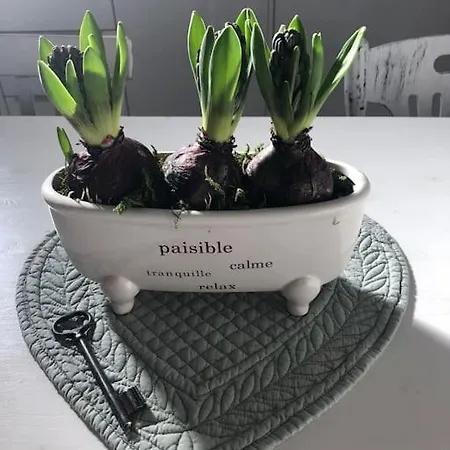 Ospite Al N 5 Appartement Mondovì